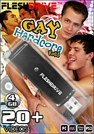20+ Gay Hardcore Vol. 1 Videos On 4gb Usb Fleshdrive (114267.495)
